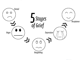 5 stages of grief pic